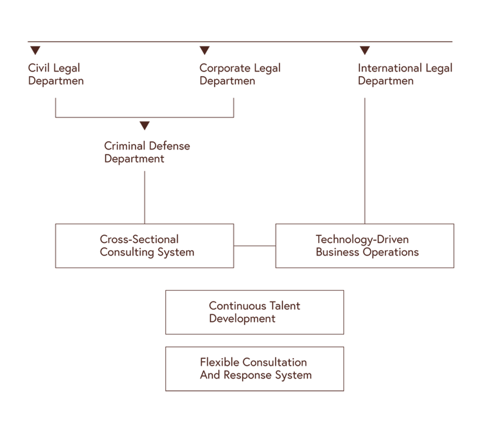 Business structure business-structure